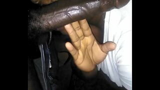 Dél fejét a kanapén