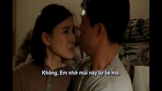 SHM - EBOLA SINDROMS 1996 SUBVIET