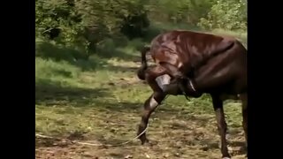 Mangataka ny threesome